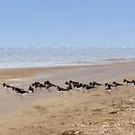 بيت للعطل 4 Person In *
