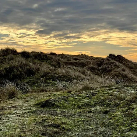 4 Person In Semesterbostad Fanø