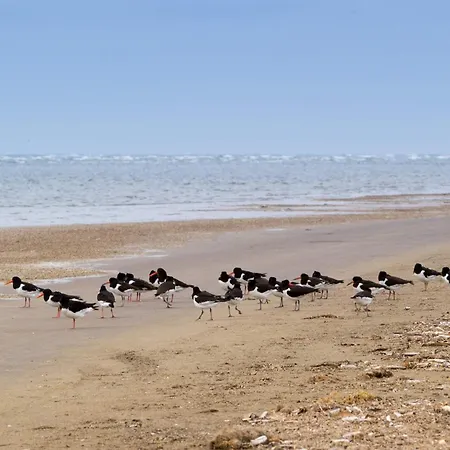 Semesterbostad 4 Person In *